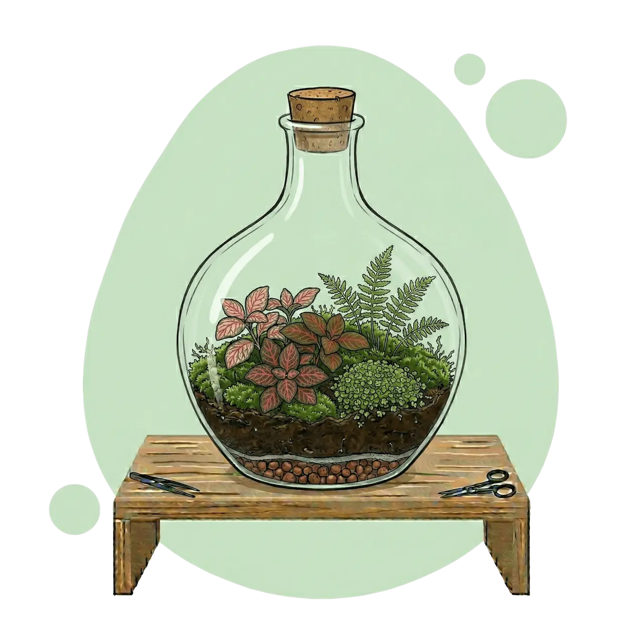 Flaschengarten mit Pflanzen in einer Glasflasche